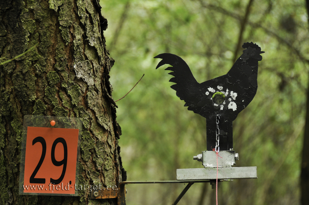 Kukk tabamisavaga 25 mm 6 m kõrgusel ja 32 m kaugusel